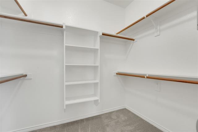 Building Photo - 1124 Hayden Ln