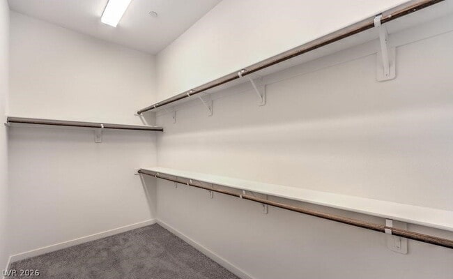 Building Photo - 11836 Star Grass Ave