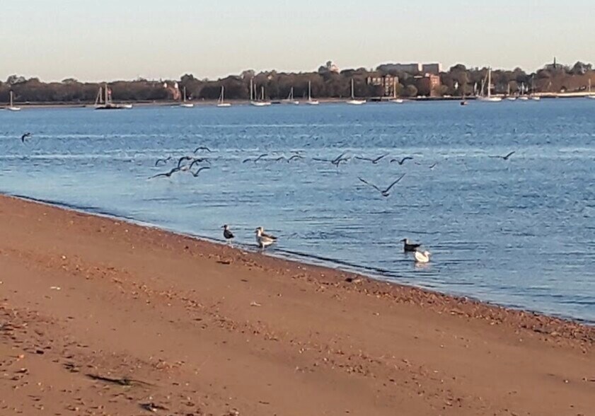 Building Photo - 410 Highland St