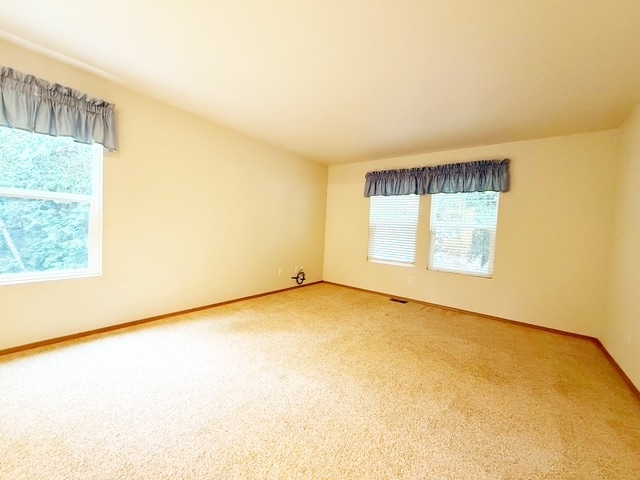 Building Photo - 43 Goliah Ln