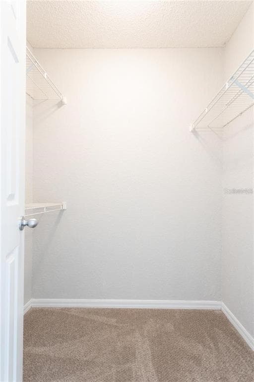 Building Photo - 10265 Gandy Blvd N