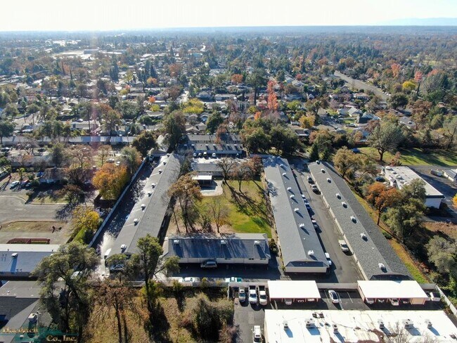 Building Photo - 3629 Bechelli Lane - 37