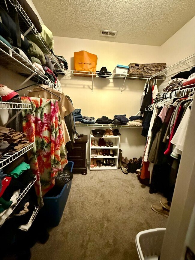 Building Photo - 3BD/2BA Updated Ranch on a Wooded Lot- Two...