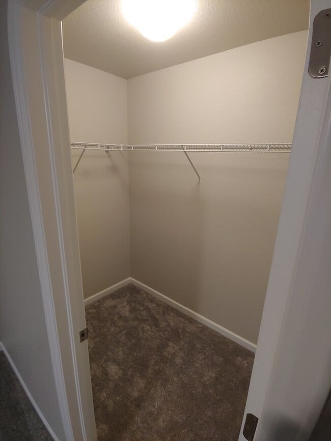 Building Photo - Gorgeous 4 Bed 3.5 Bath in Fantastic Location