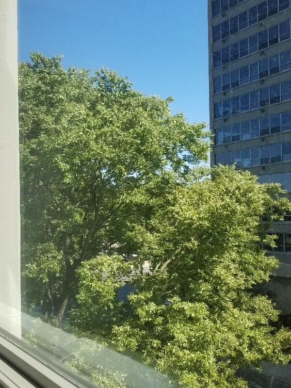 Building Photo - 3600 N Lake Shore Dr