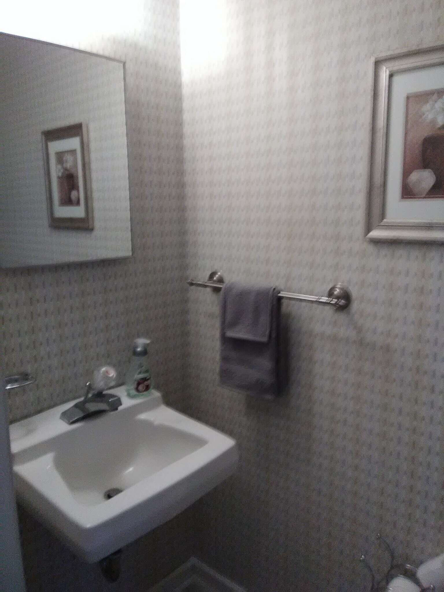 Half bath - 50 Douglas Rd