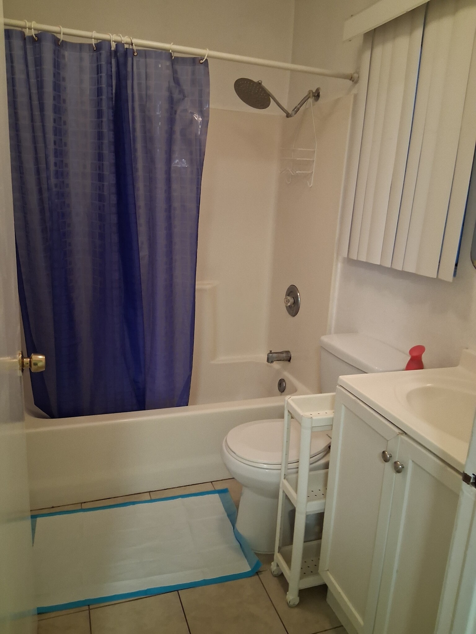 full bathroom - 669 Fairmont Ave