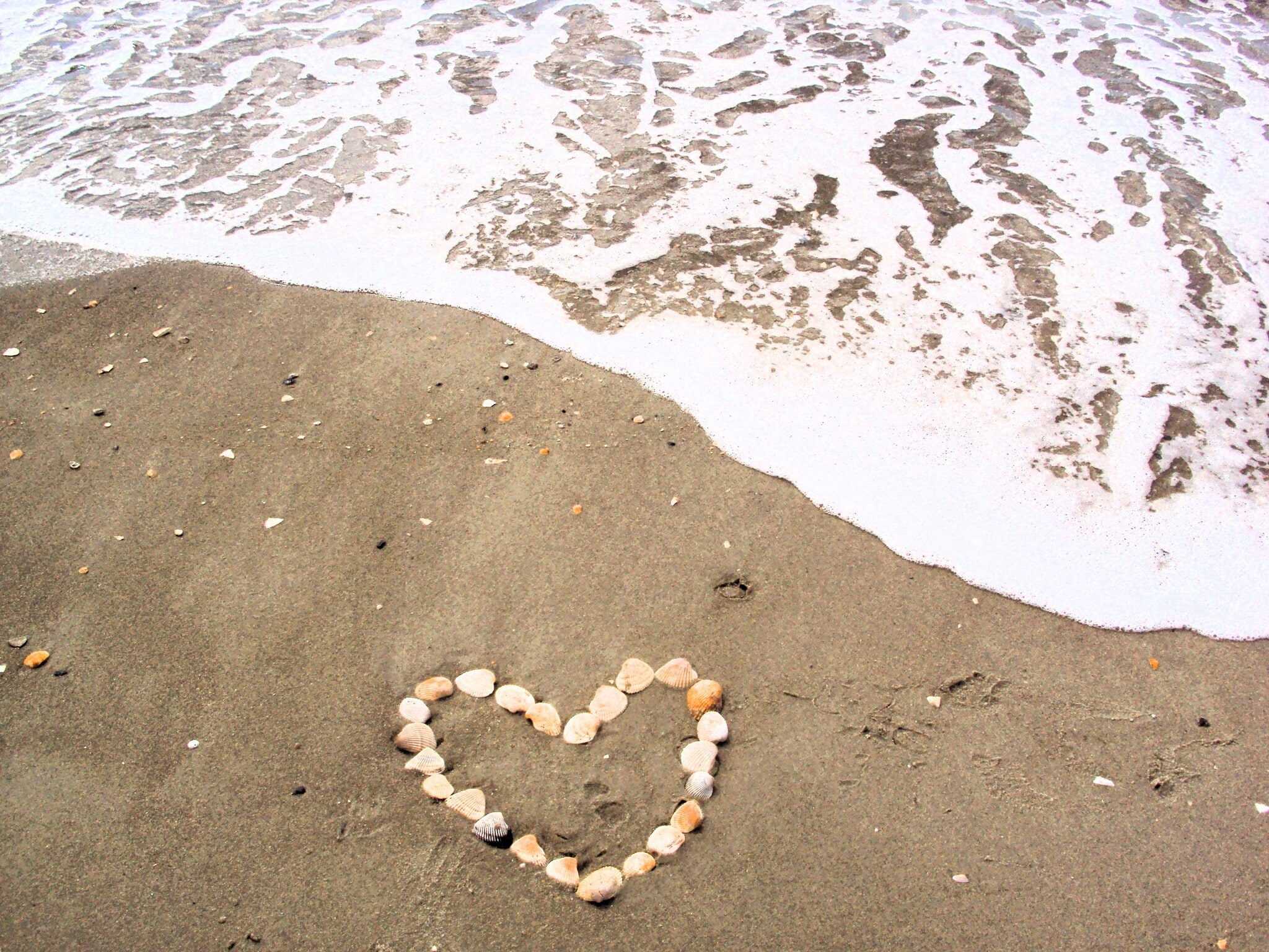 Building Photo - 768 Pantego Blvd SE