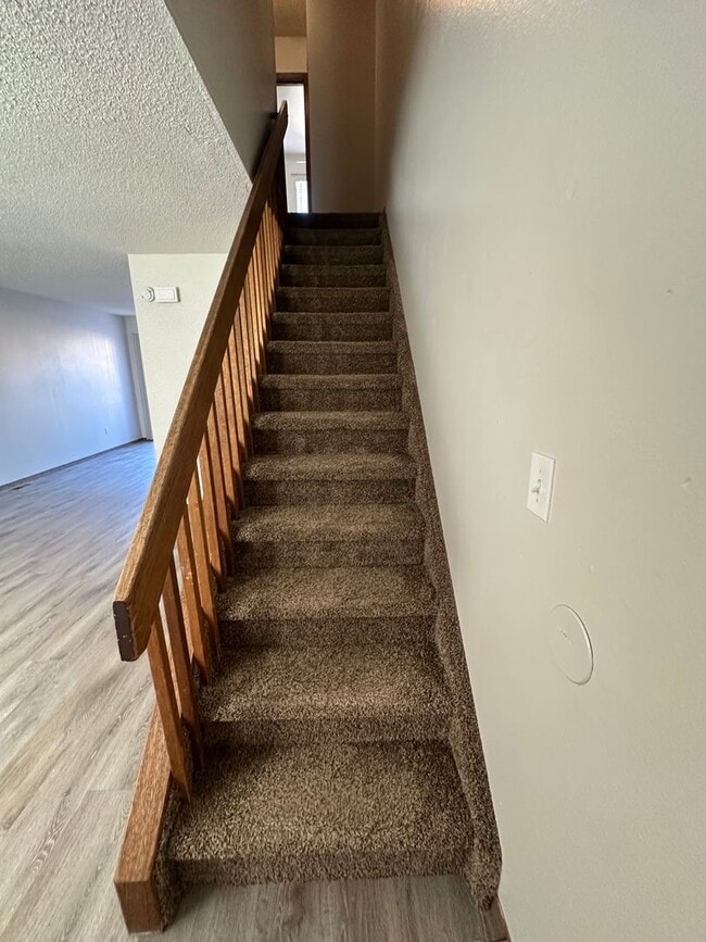 Building Photo - 3039 Starlight Cir