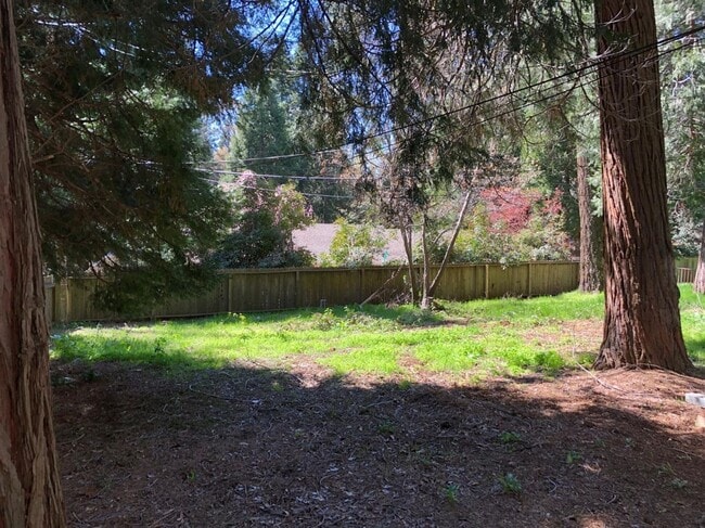 Building Photo - Adorable One Bedroom in Camino!