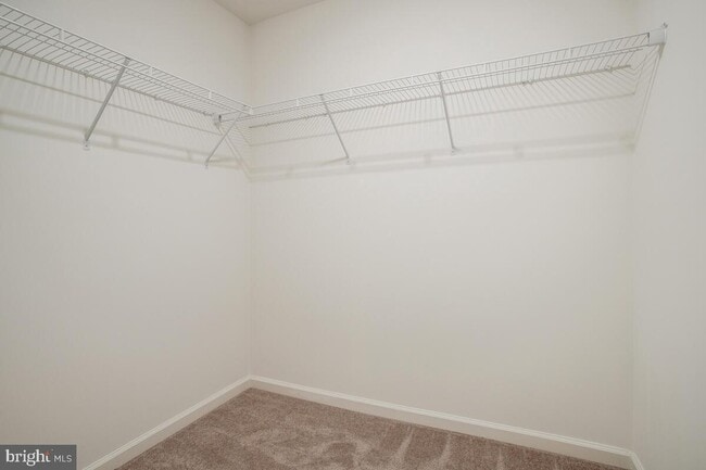 Building Photo - 2407 Terrapin Xing