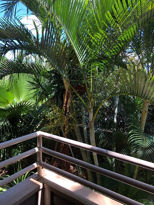 Building Photo - Unfurnished 2 BR/2BA Condo