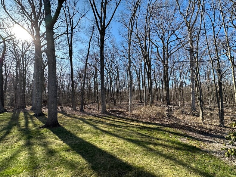 View from Kitchen (Winter) - 1310 Slater Rd
