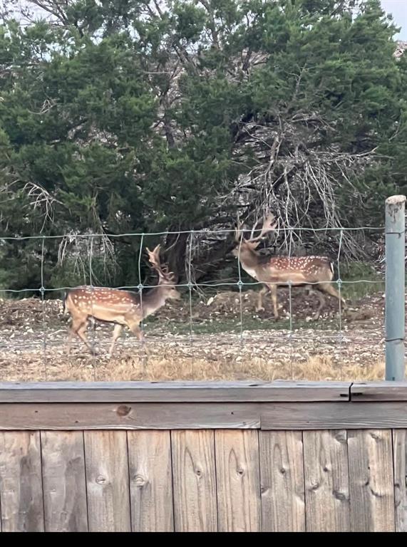 Building Photo - 11305 Sentinel Dr