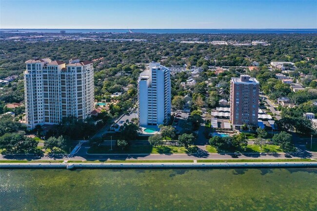 Building Photo - 4141 Bayshore Blvd