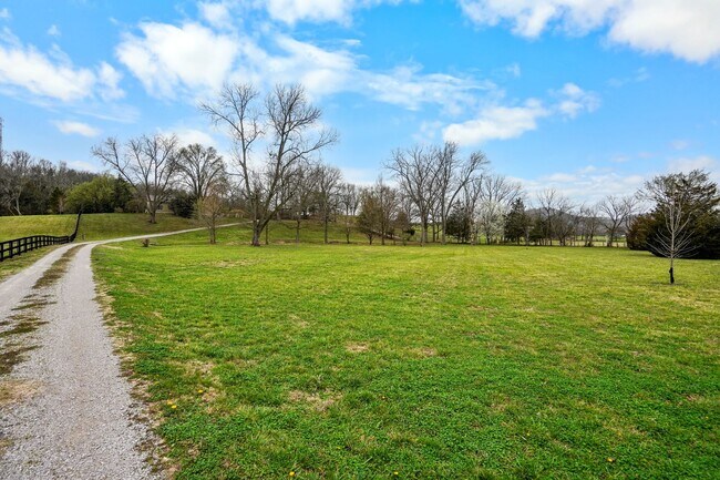 Building Photo - 251 Cheatham Springs Rd