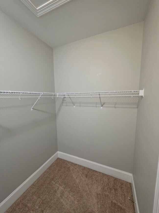 Building Photo - 1608 Palmetto Palm Dr