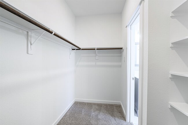 Building Photo - 8423 Berry Brush Ln