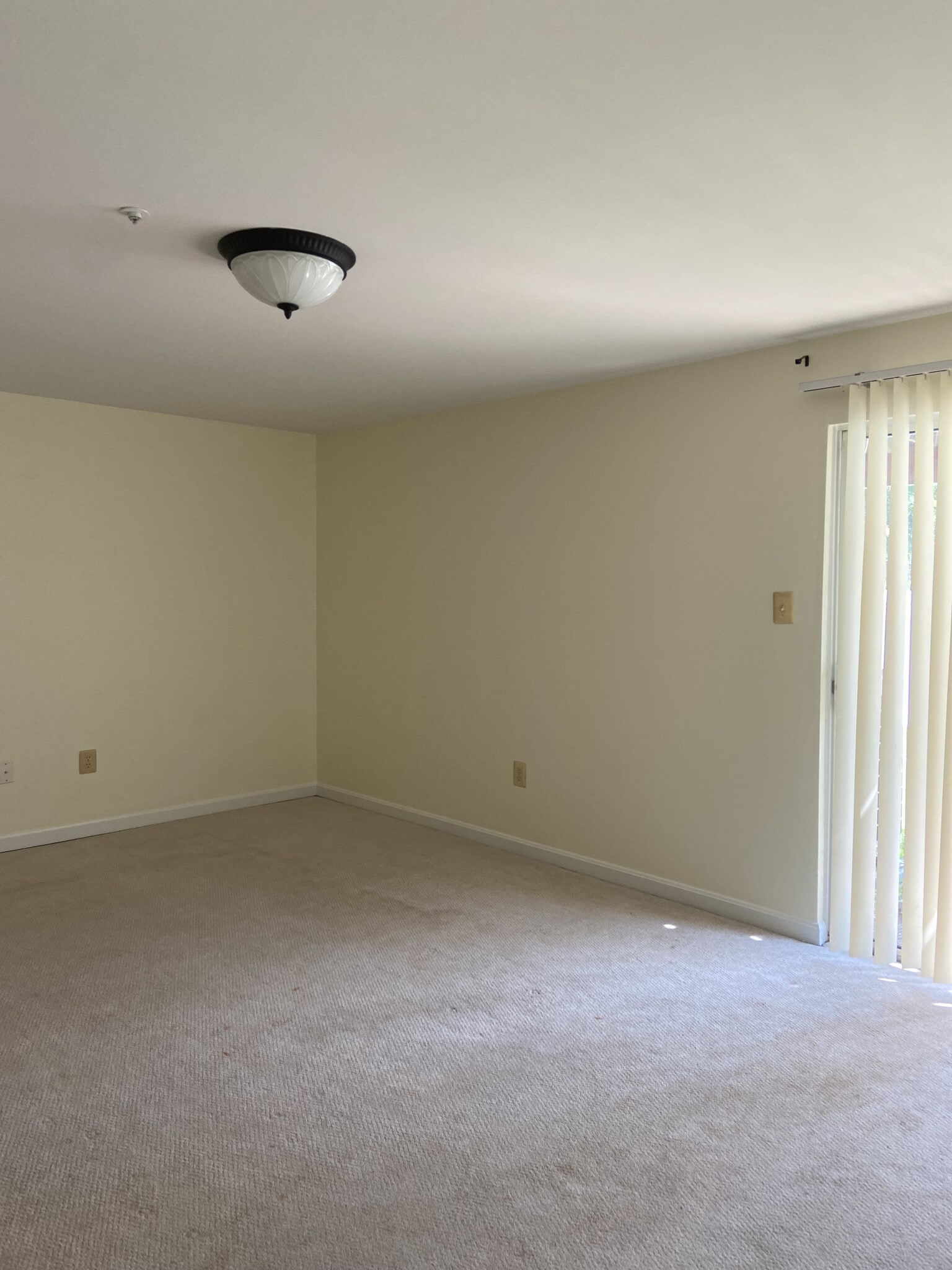 Building Photo - 212 Mulberry Ridge Ct