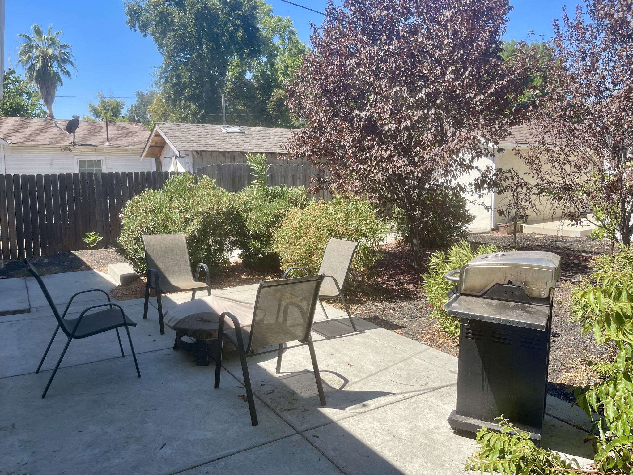 Backyard - 321 Tahoe Ave