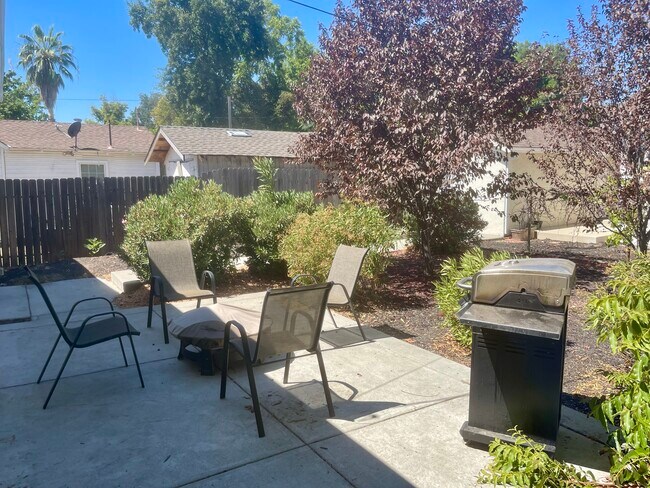 Backyard - 321 Tahoe Ave