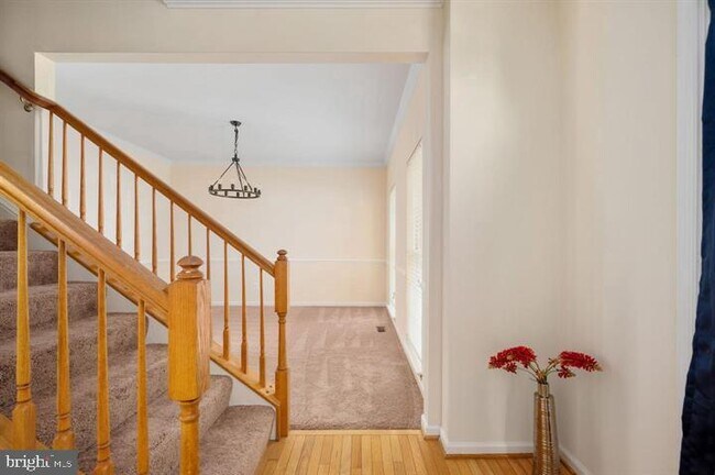 Building Photo - 6 Riggs Rd