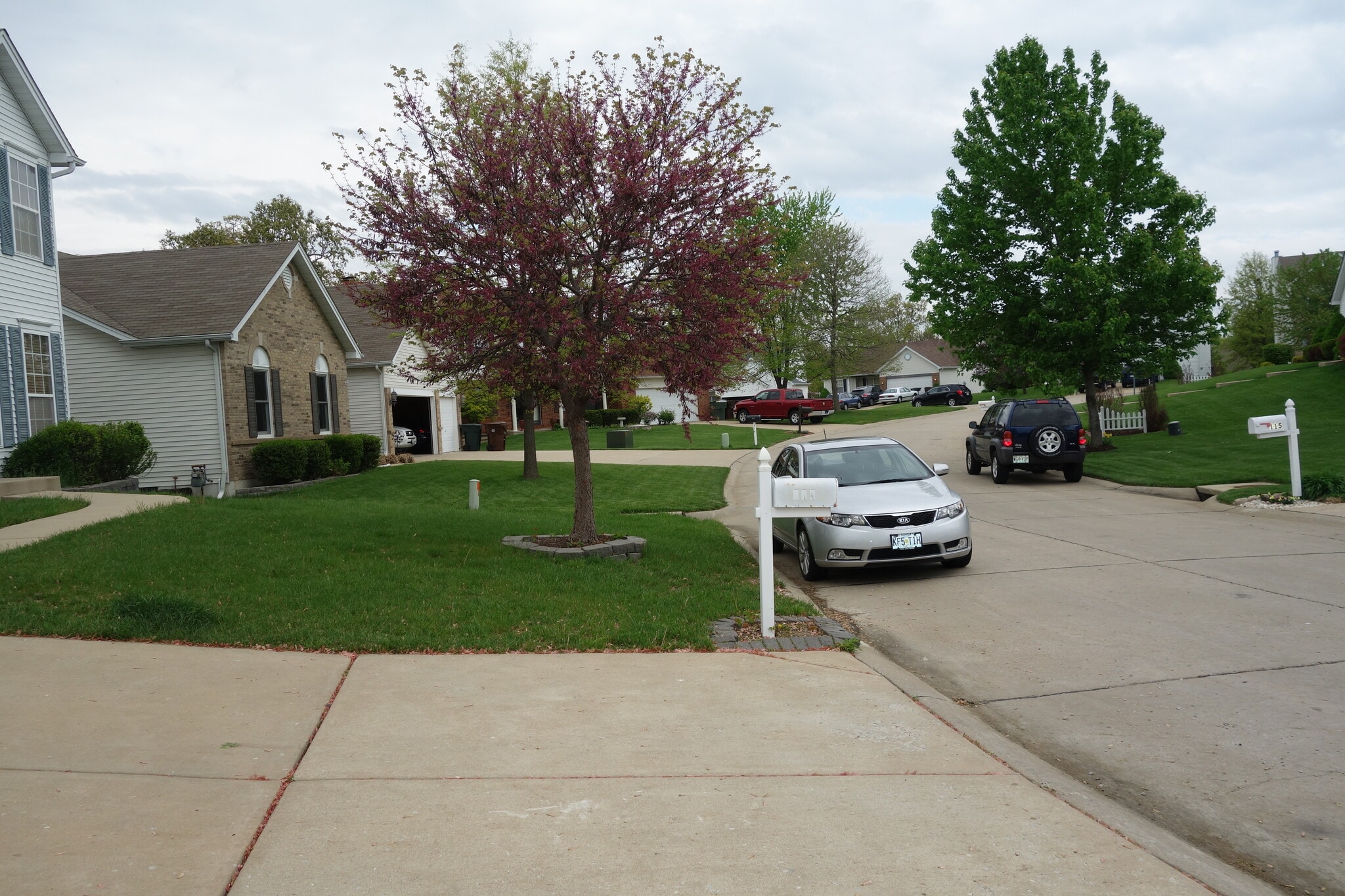 Building Photo - 114 Meadowgate Ct