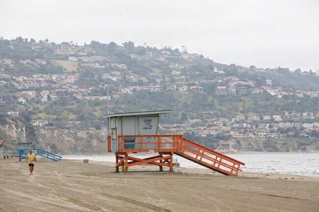 Building Photo - Hollywood Nights in Redondo Beach with lar...
