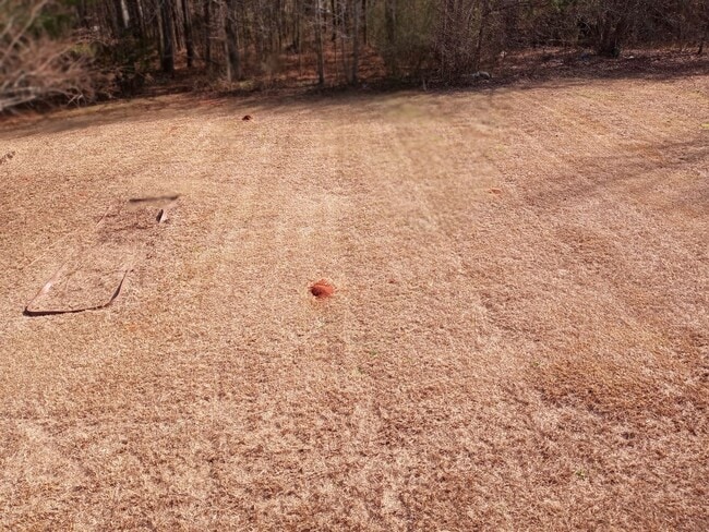 Building Photo - 3/2 with Large Bonus Room  - Split level home with large backyard