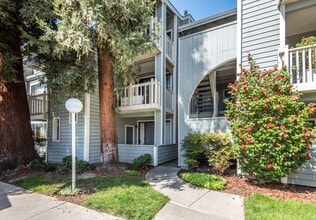 Building Photo - 3651 Knollwood Terrace