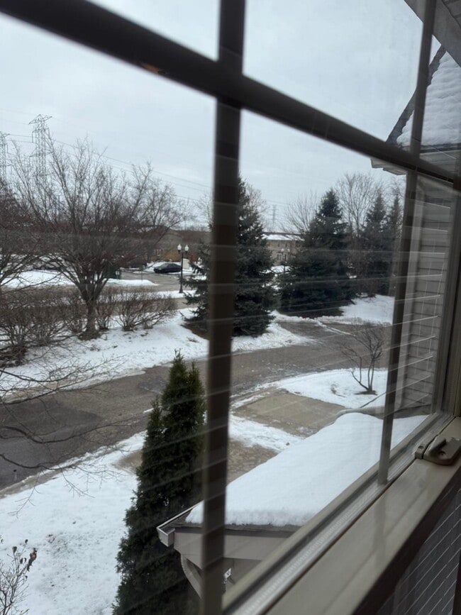 Building Photo - 7438 Lacy Dr