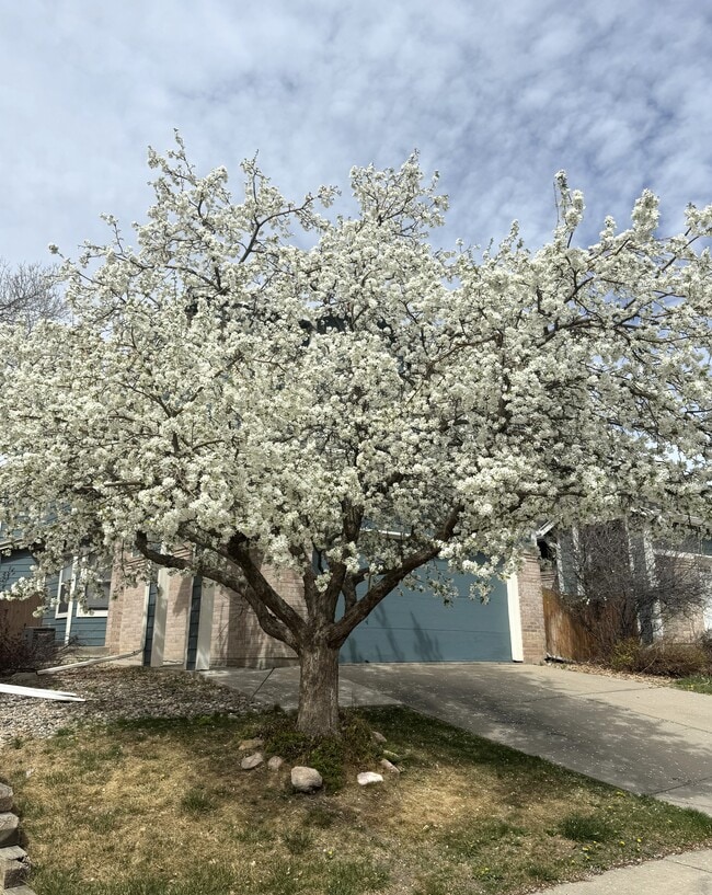 Building Photo - 9362 W Coal Mine Ave