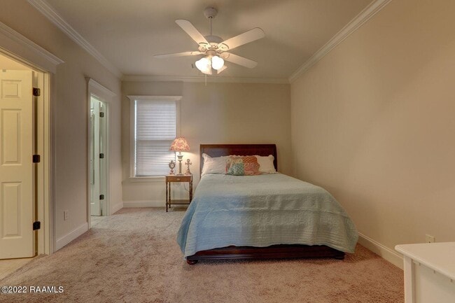 Building Photo - 103 Crystal Bay Ct