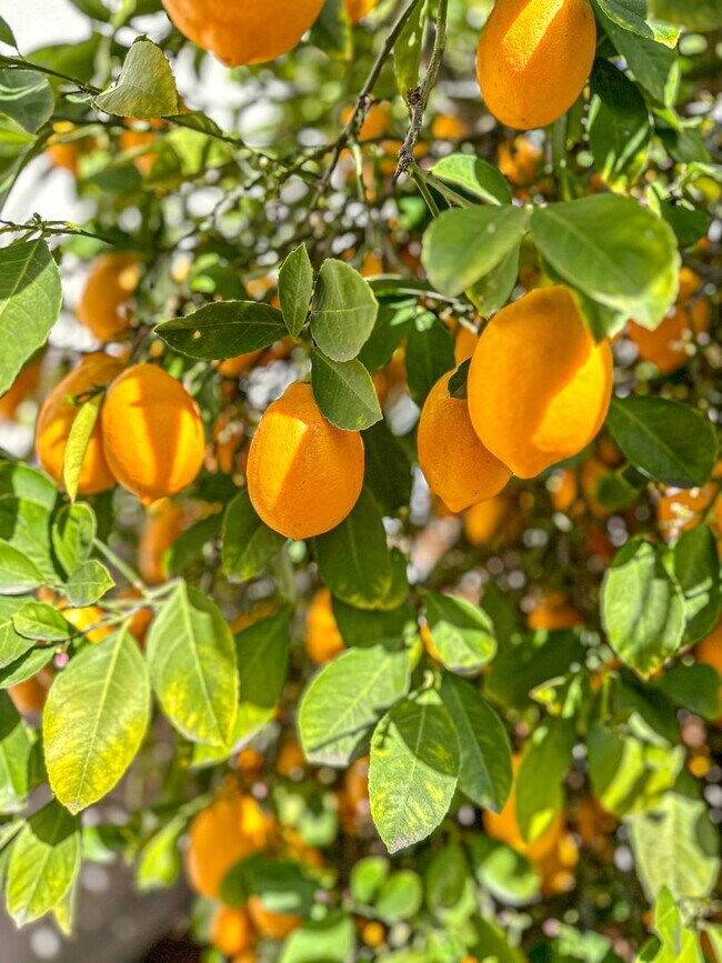 Building Photo - By appointment