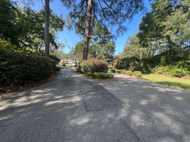 Building Photo - Large 2BD/ 2BTH with loft-Great Location