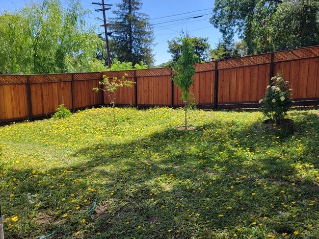 Building Photo - Super Cute Cottage on Large Lot in Quiet Area