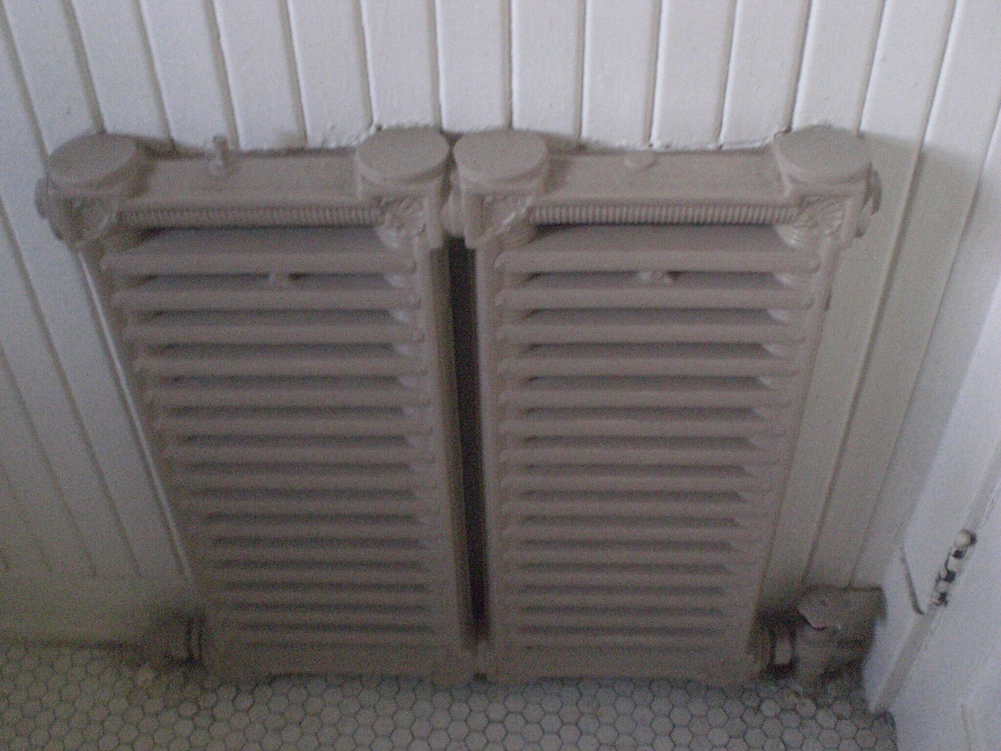 Old school radiators (better than forced air) - 1440 Cook St
