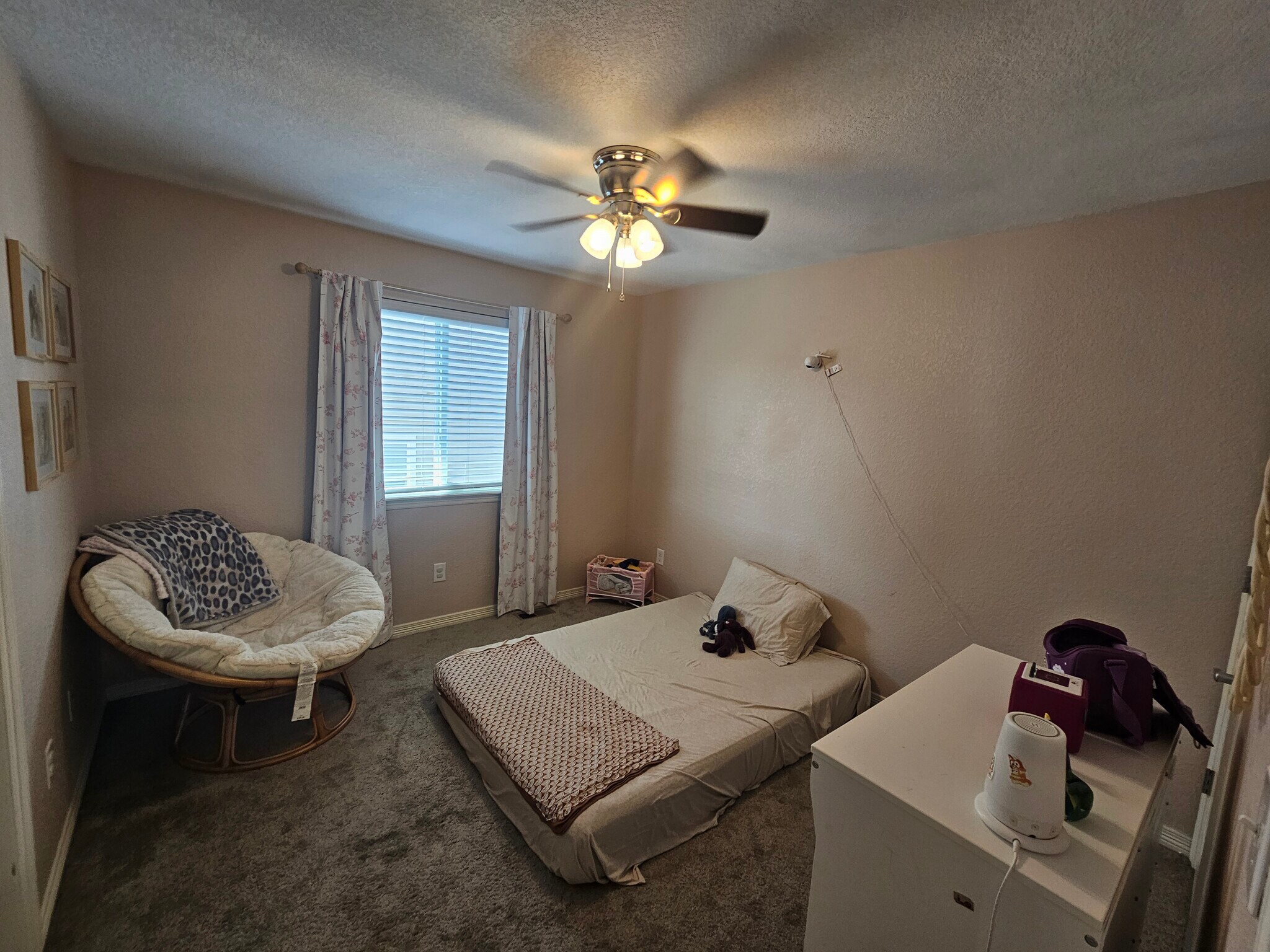 Building Photo - 7431 Willowdale Dr