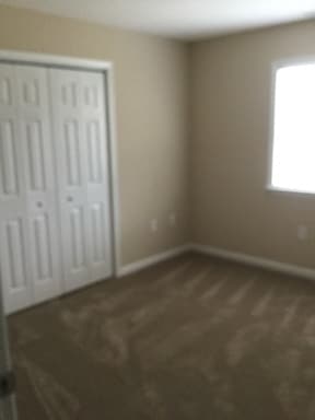 Building Photo - Updated 3BR/2BA Duplex | 1,350 Sq Ft | Stainless Appliances | Near Busch Gardens