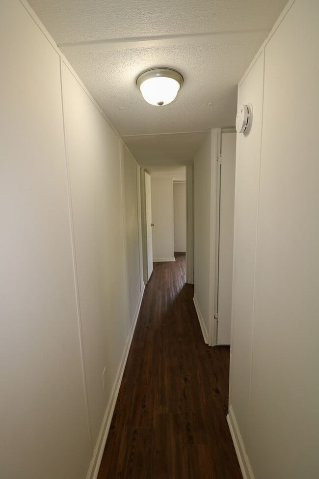 Building Photo - Newly Renovated Home