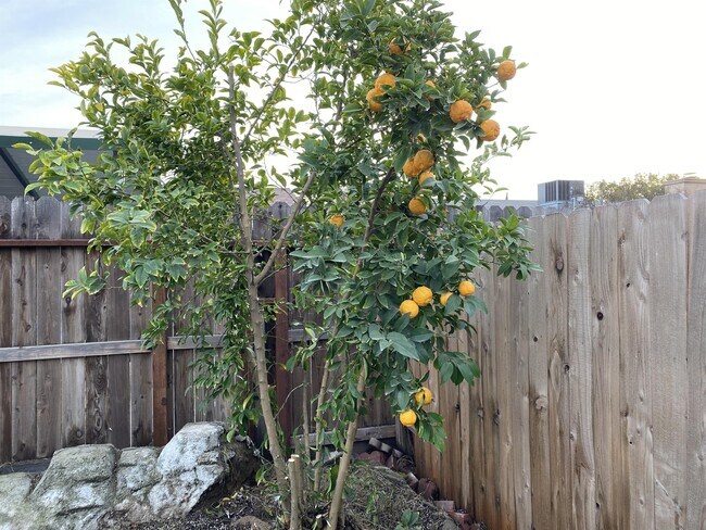 Building Photo - 3824 Hollywood Dr