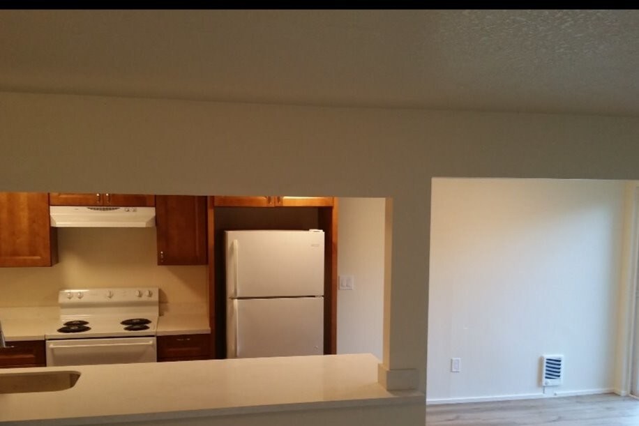 Quartz countertops under mount sink - 1045 S Jasper St