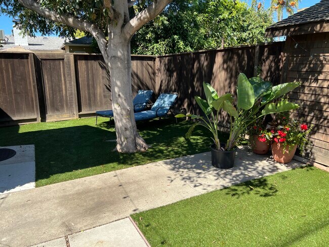 Mature landscaping - 4360 Stewart Ave