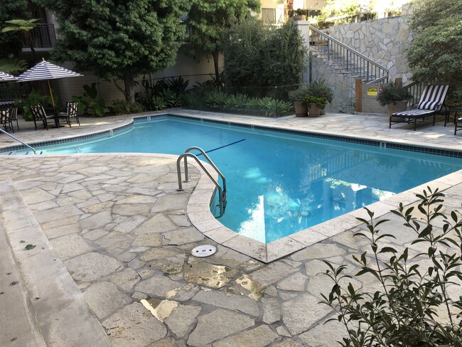 Pool - 1440 Veteran Ave