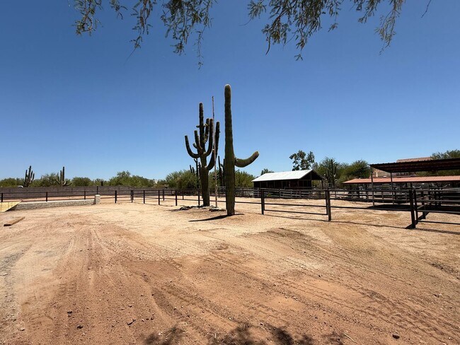 Building Photo - Cave Creek Horse Property