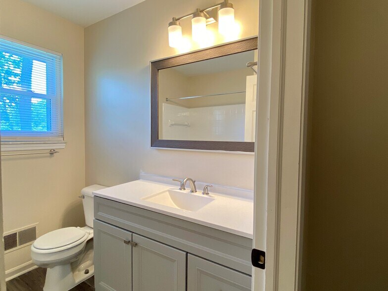 Full Bathroom - Vanity - 2146 Washtenaw Ave