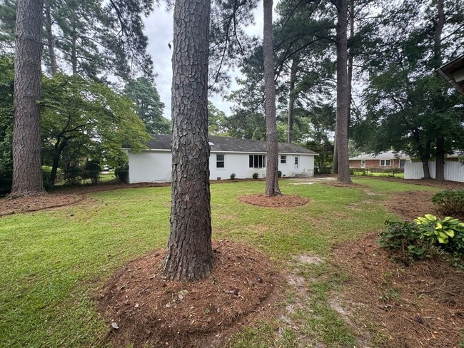 Building Photo - Great location....Terry Sanford Schools!
