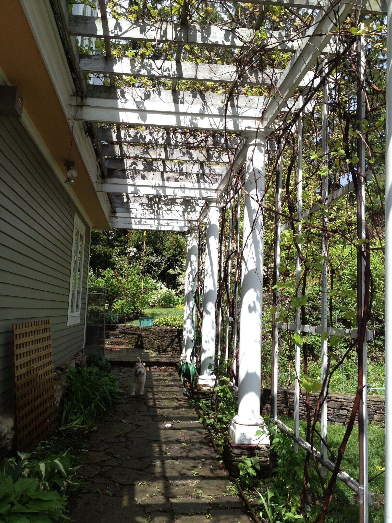 Building Photo - 35 Greenough Ave