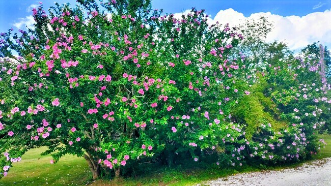 Building Photo - 94 Cross Rd