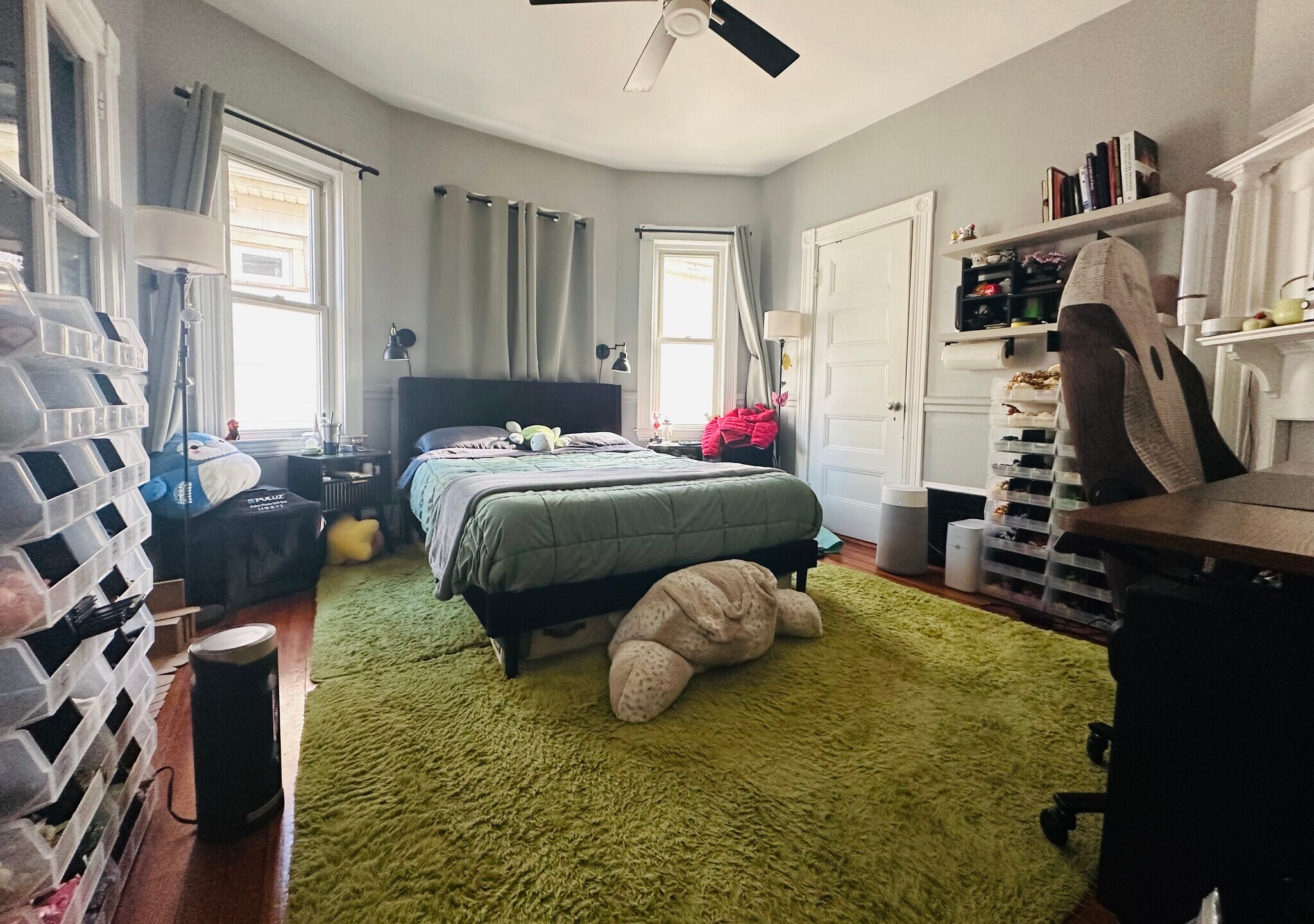 Building Photo - 20 Dalrymple St